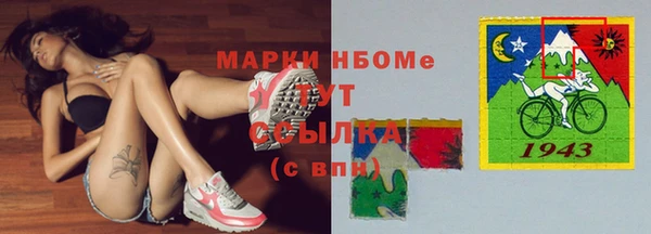дживик Майский
