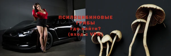 ПСИЛОЦИБИНОВЫЕ ГРИБЫ Магадан