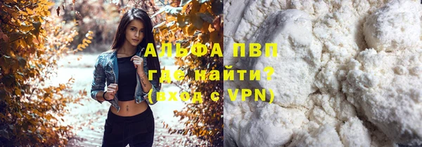 ПСИЛОЦИБИНОВЫЕ ГРИБЫ Магадан