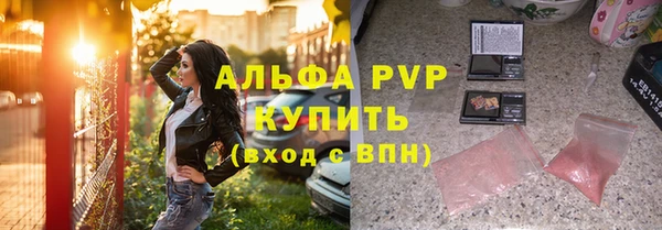 дживик Майский