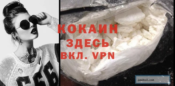 дживик Майский