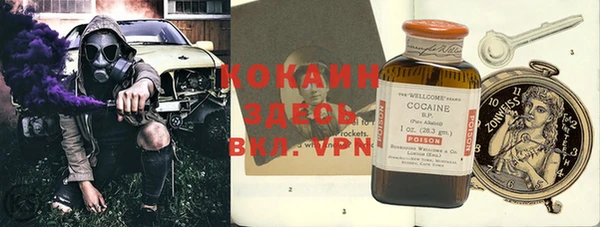 дживик Майский