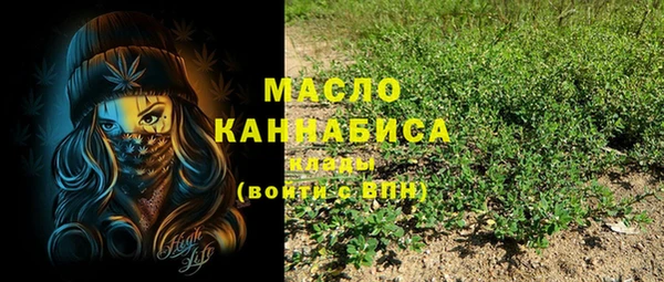 дживик Майский
