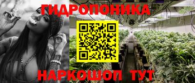 спиды Гагарин