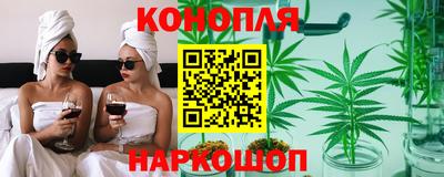 спиды Гагарин