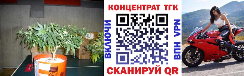 ТГК гашишное масло  где продают   Тольятти 