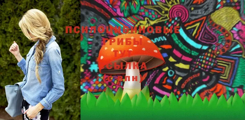 Галлюциногенные грибы Psilocybine cubensis  это клад  Тольятти 