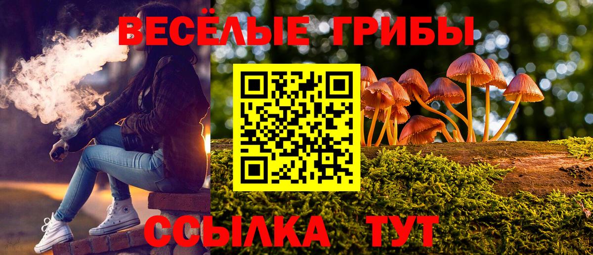 закладка  Галлюциногенные грибы MAGIC MUSHROOMS  Вход с VPN  Тольятти 